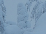 getImage (9)